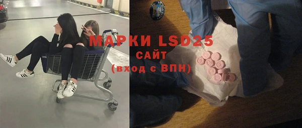 прущая мука Вяземский
