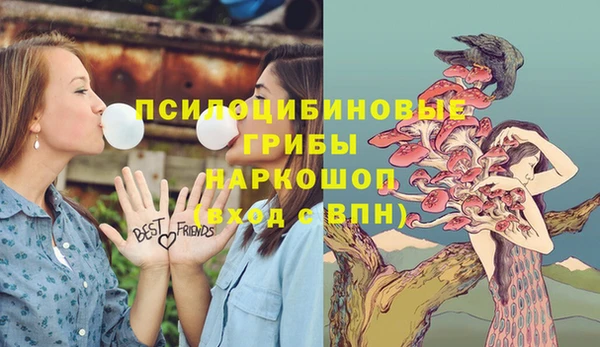 таблы Вязники