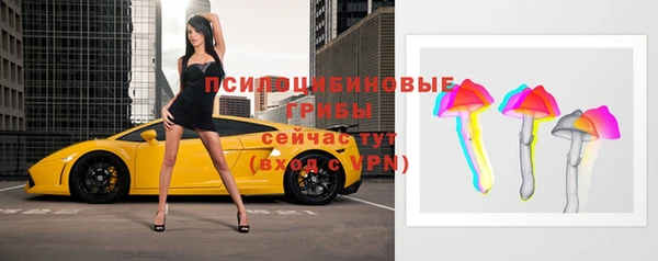 прущая мука Вяземский
