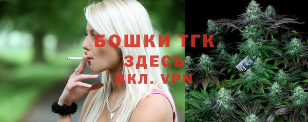 прущая мука Вяземский