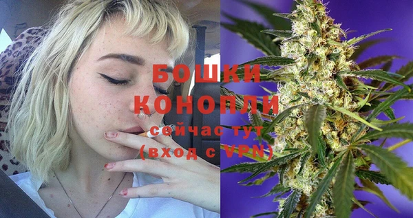 прущая мука Вяземский